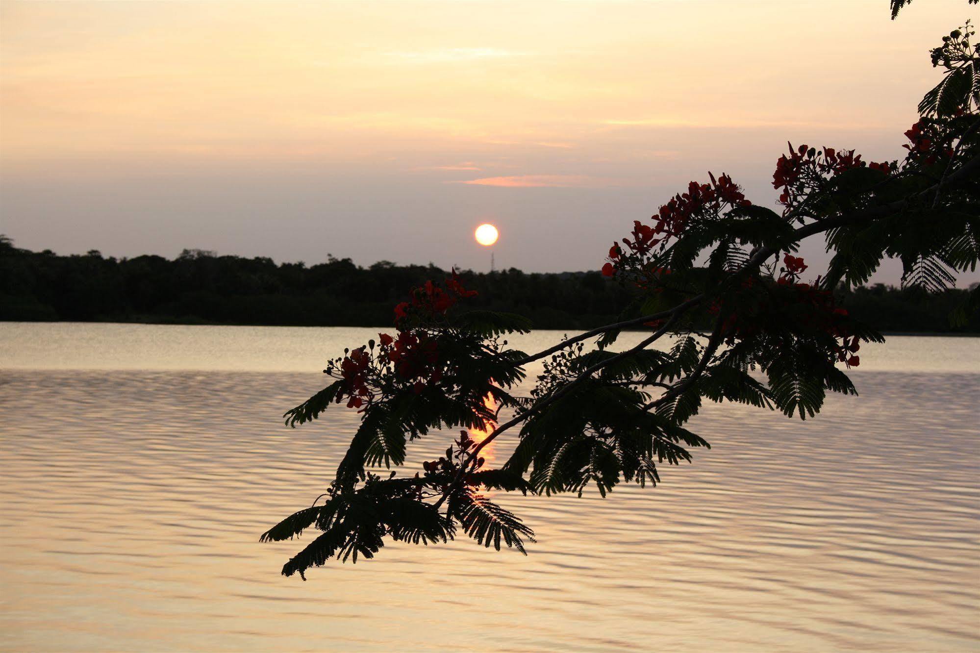Sunset Bungalows Resort, Vanuatu Port-Vila Extérieur photo